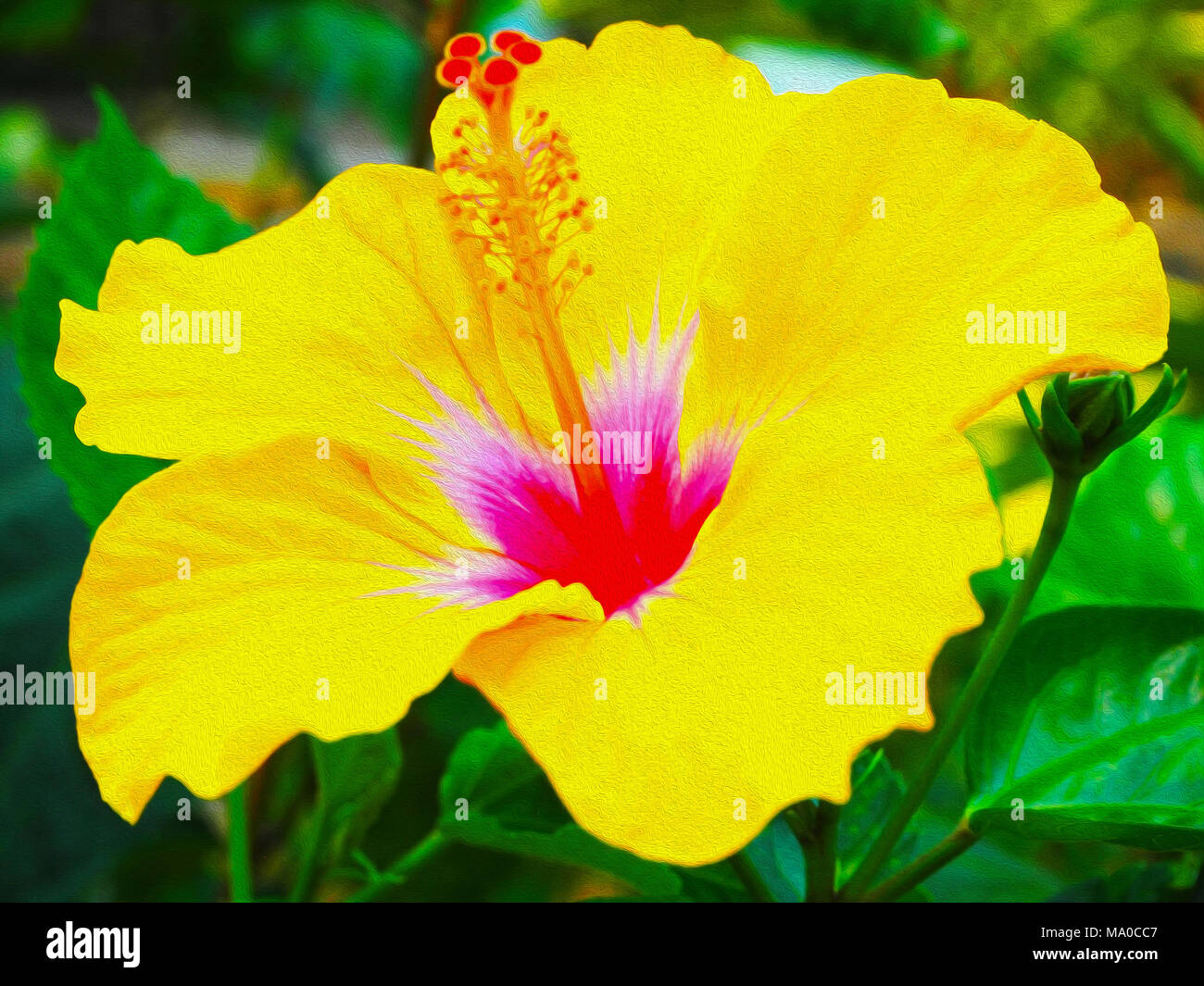 Flower oil painting hi-res stock photography and images - Alamy