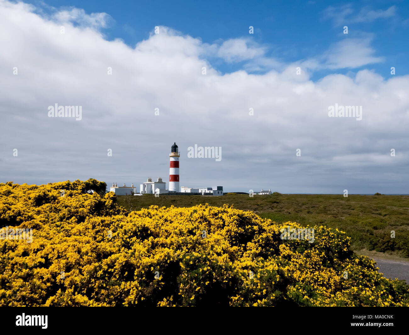RS 8032  Point of Ayre Lighthouse, Isle of Man, UK Stock Photo