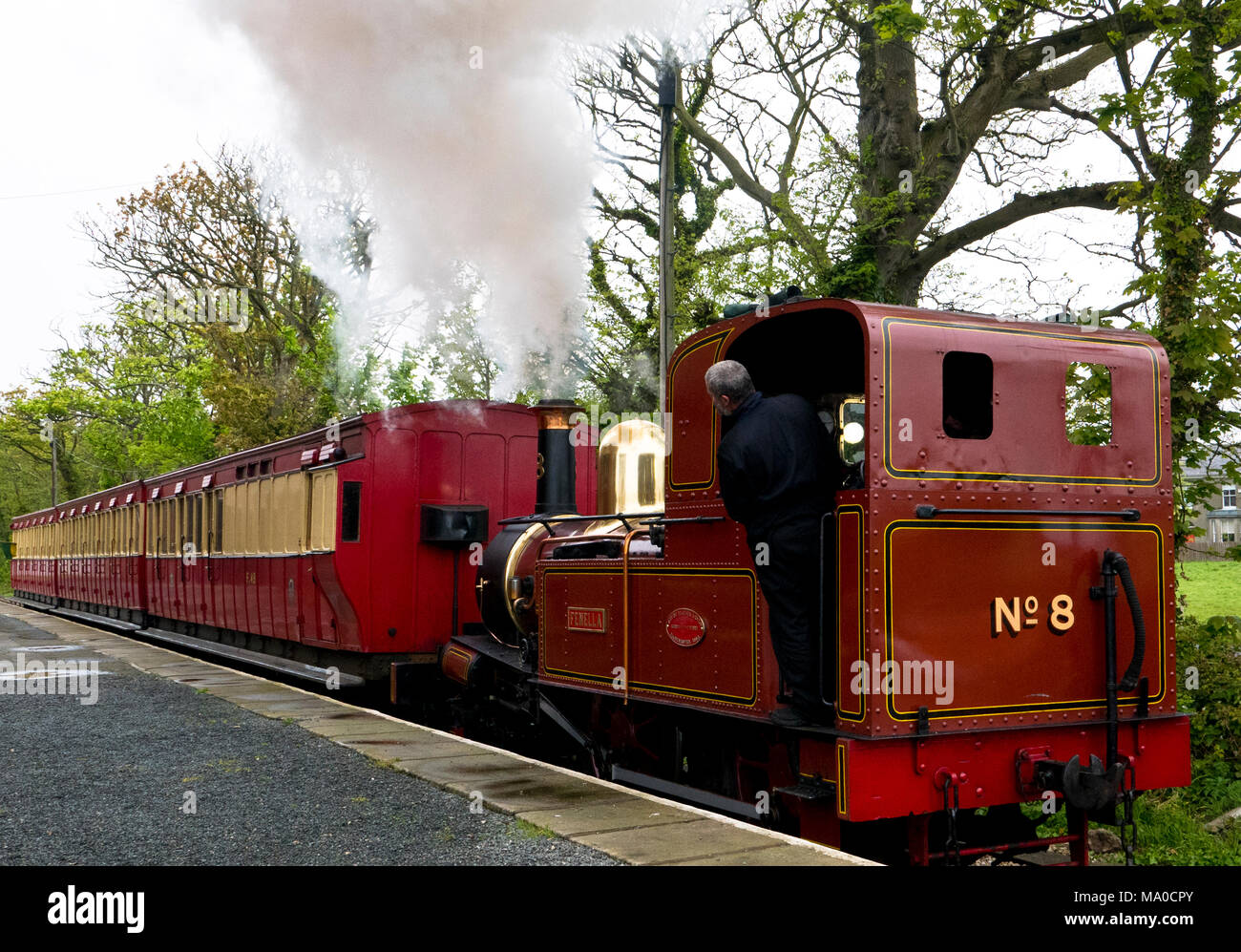 RS 8050  Isle of Man Steam Railway, Port St Mary Station, Isle of Man, UK Stock Photo