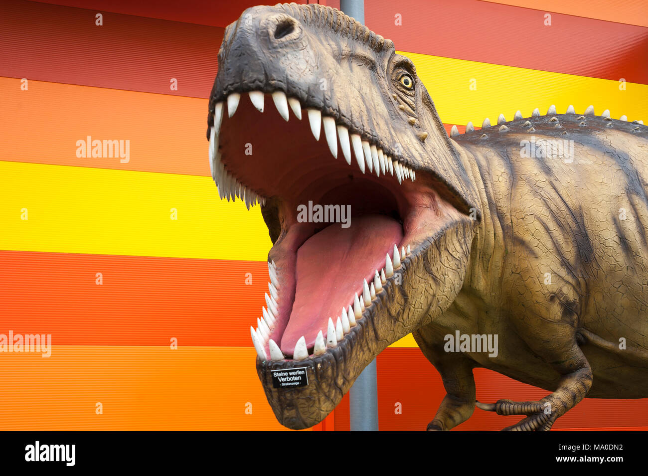 Replica of a tyrannosaurus in front of the Museum Galileo Wissenswelt, Burg, Fehmarn, Baltic Sea, Schleswig-Holstein, Germany, Europe Stock Photo
