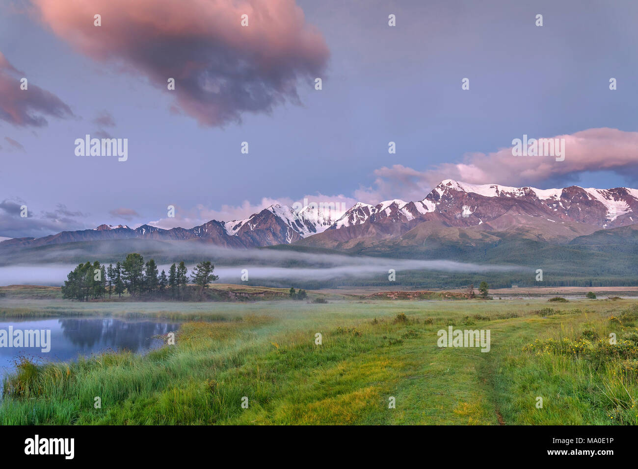 Amazing landscape with mountains, snow and forest on the slopes, mist over the lake and bushes of Kuril tea at dawn Stock Photo