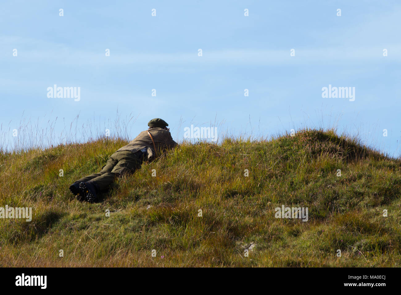 Deerstalker Lying on Hill in Scottish Highlands Stock Photo