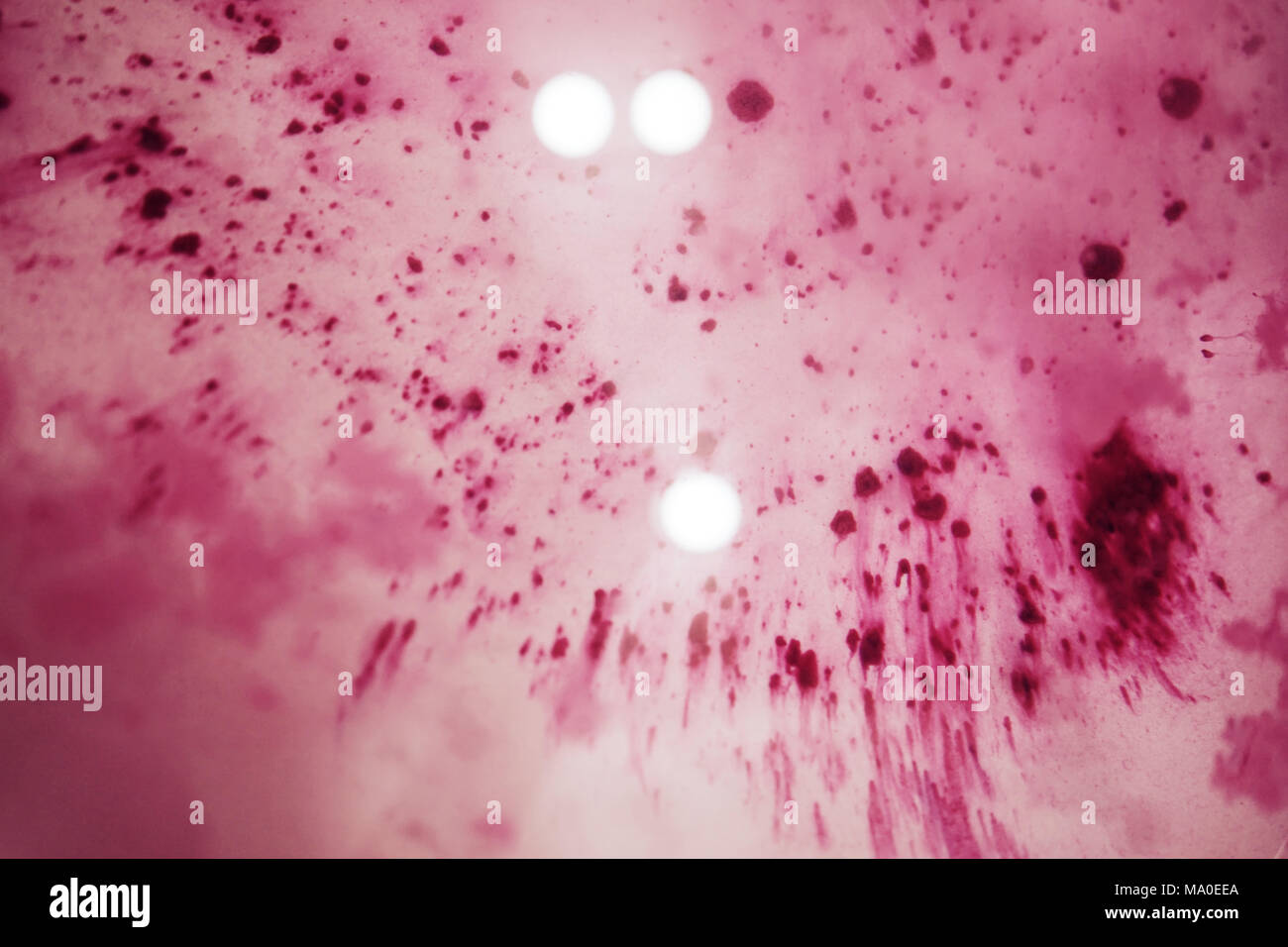 Abstract pink and white background Stock Photo