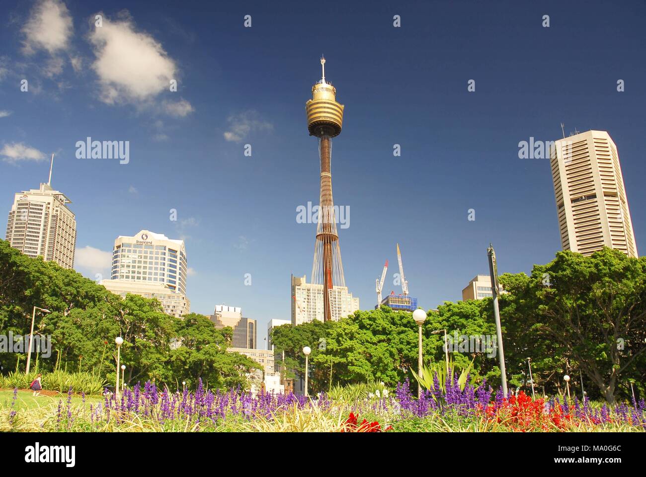 Sydney city skyline flowers hi-res stock photography and images - Alamy