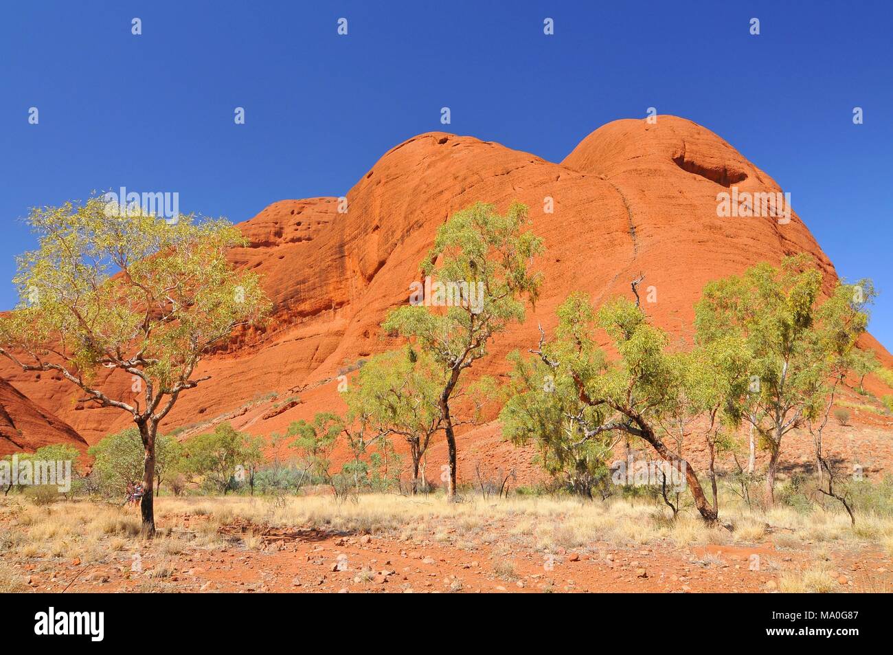 Uluru-Kata Tjuta National Park Australia Stock Photo - Alamy