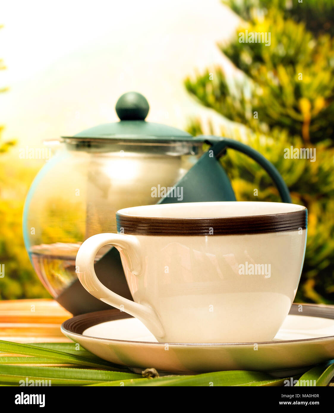 Green Tea Break Indicating Beverage Cafes And Beverages Stock Photo Alamy