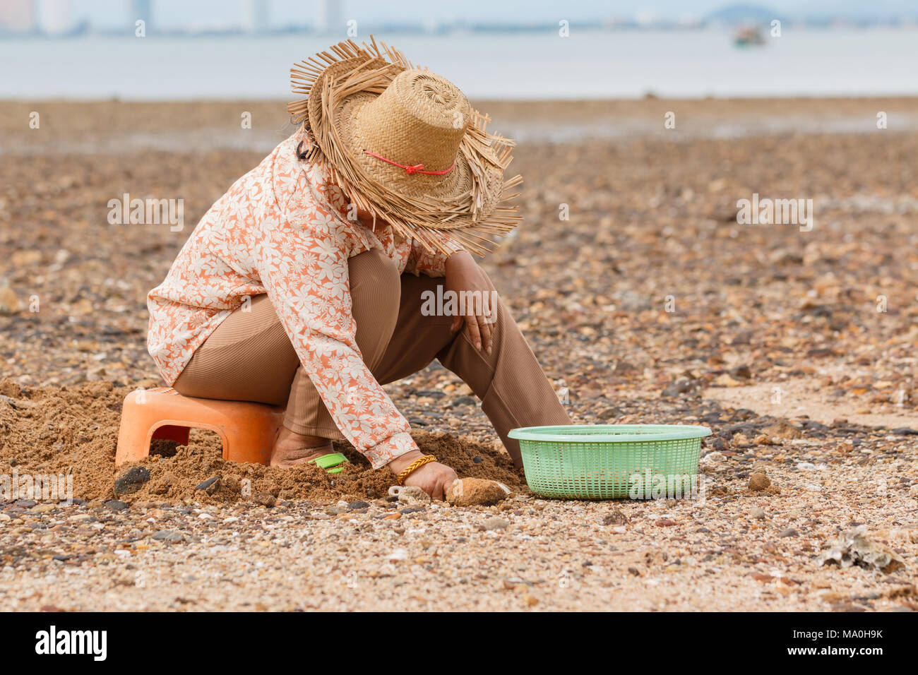 Women looking for sea shells Stock Photo