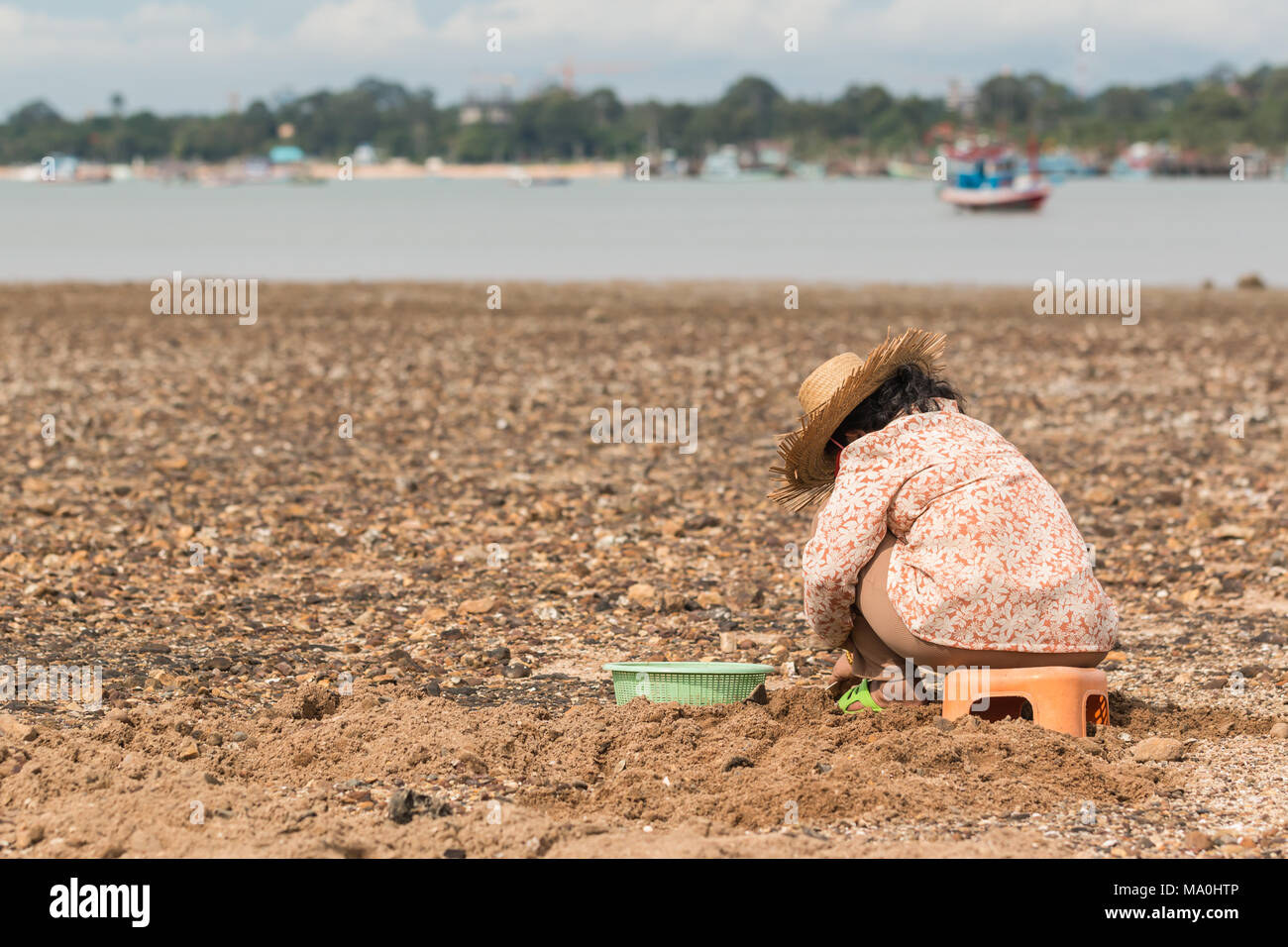 Women looking for sea shells Stock Photo