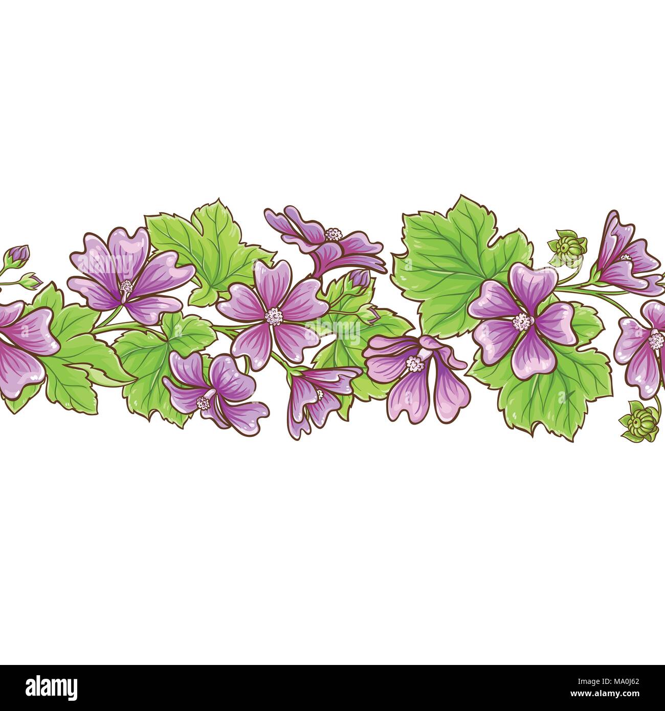 malva flowers vector frame on white background Stock Vector