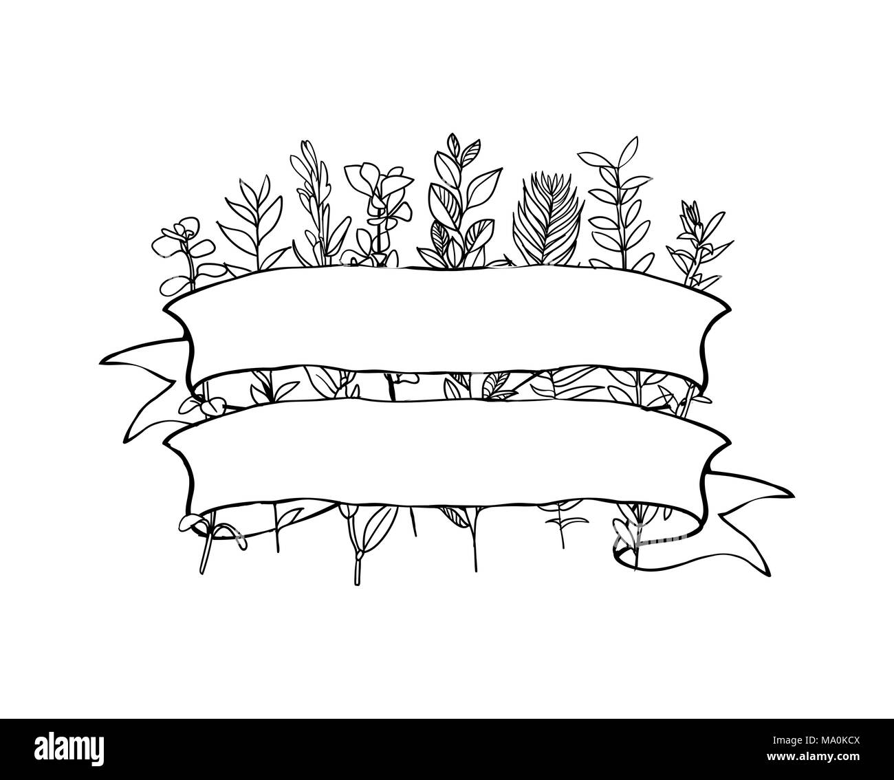 Hand drawn vector Vintage floral banners. Sketch ink illustration