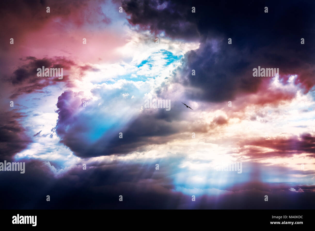 Symphonic sunburst sky with light rays and broken cloud before storm in Adriatic with lone bird flying over Stock Photo