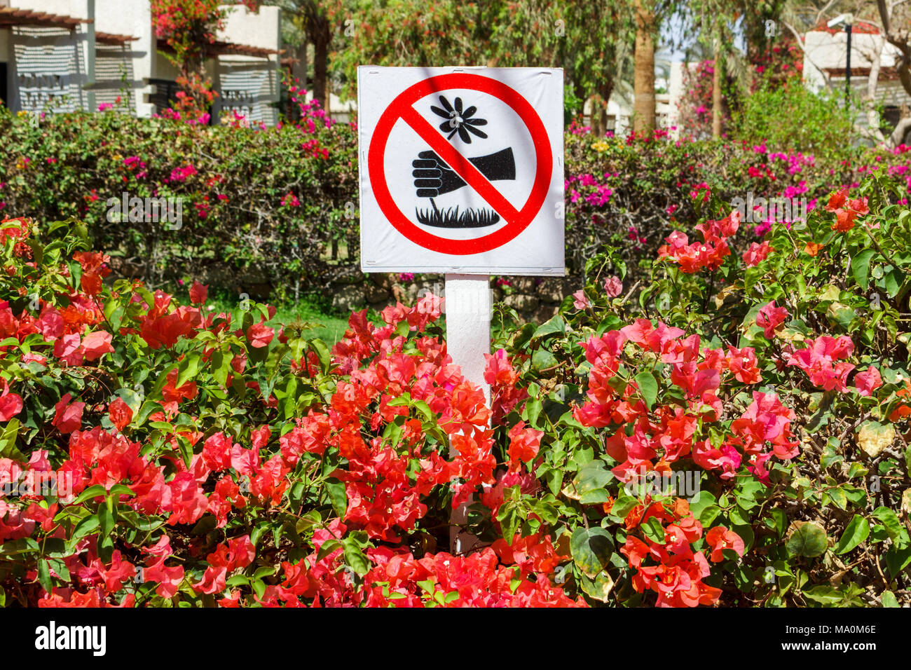 Signs in the park. does not pick flowers Stock Photo Alamy