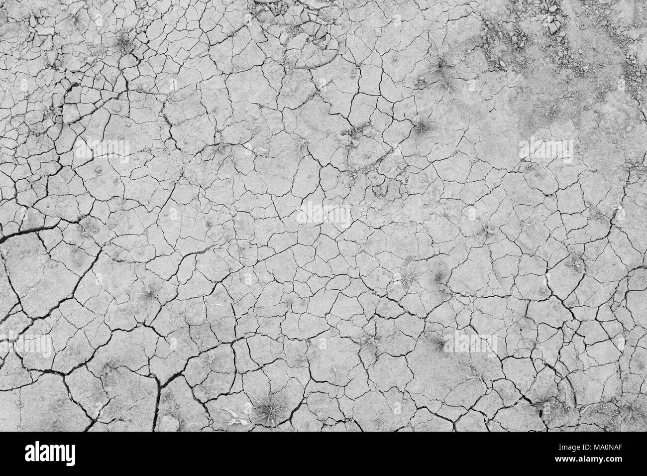 Dry and cracked soil ground during drought, viewed from above in black and white. Stock Photo