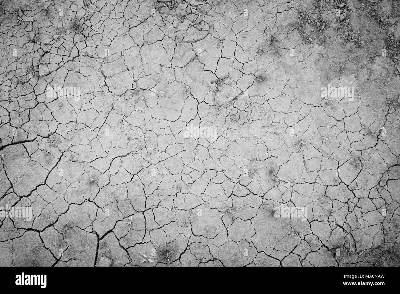 Dry and cracked soil ground during drought, viewed from above with vignette in black and white. Stock Photo