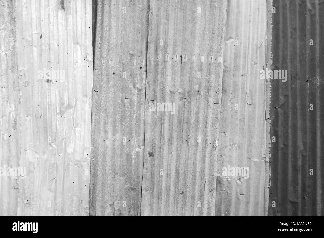 Rusty and corrugated iron metal construction site wall texture background in black and white. Stock Photo