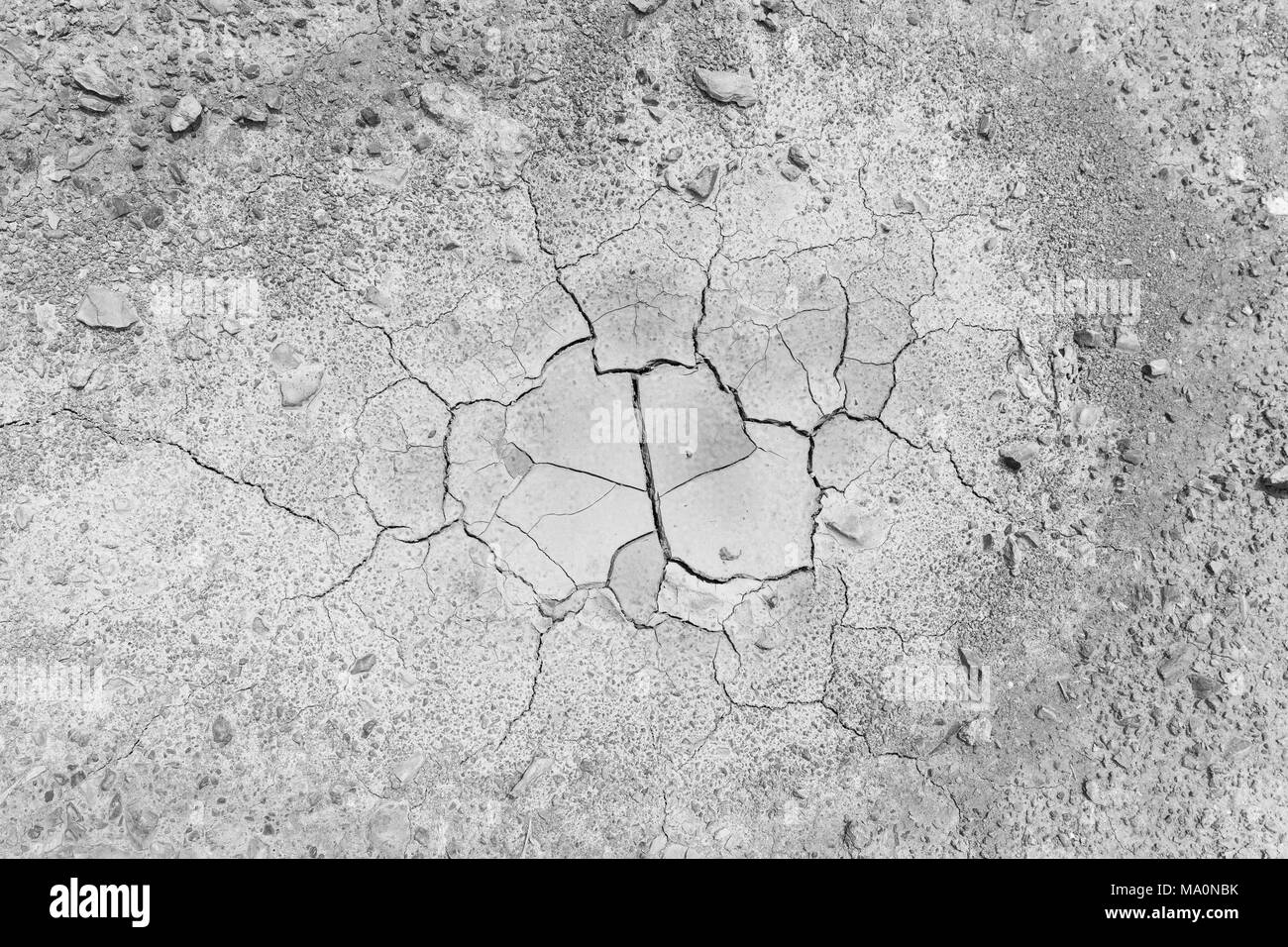 Stones and dry and cracked soil ground during drought, viewed from above in black and white. Stock Photo