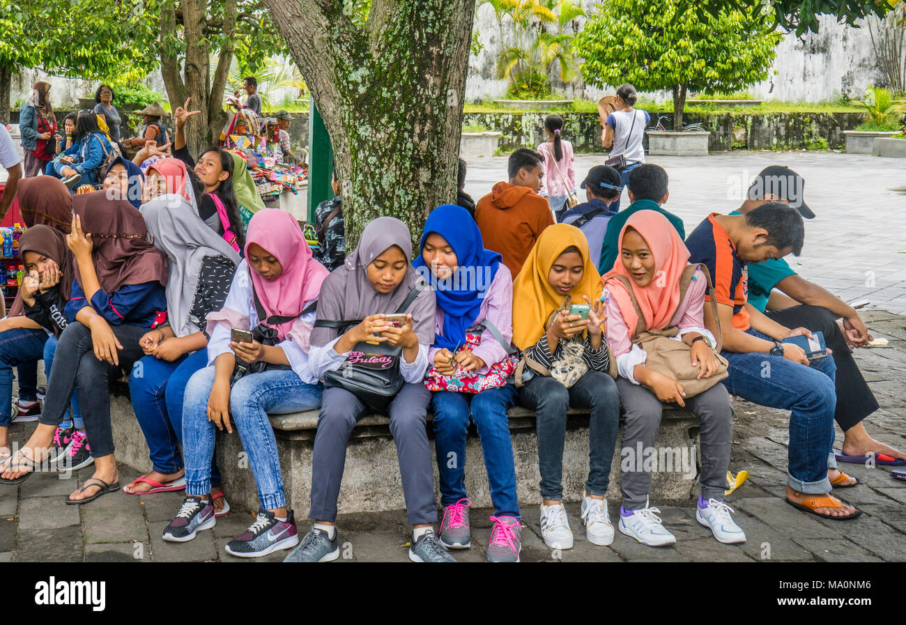 Indonesian teenagers absorbed by their mobile phones under a banyan tree in the Kraton Ngayogyakarta Hadiningrat, the palace of the Yogyakarta Sultana Stock Photo