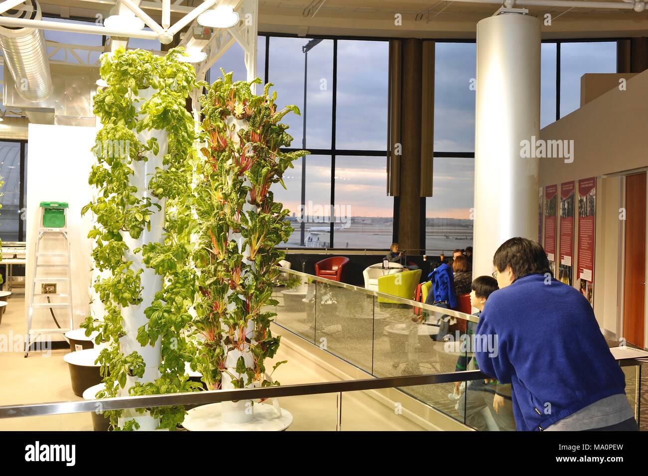 Urban gardening vertical growing with grow lights, inside Rotunda