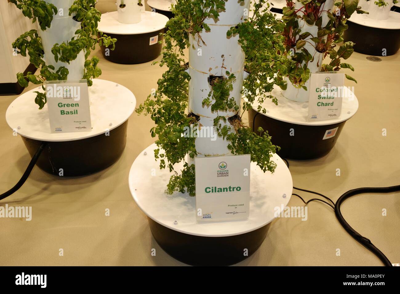 Urban gardening vertical growing with grow lights, inside Rotunda