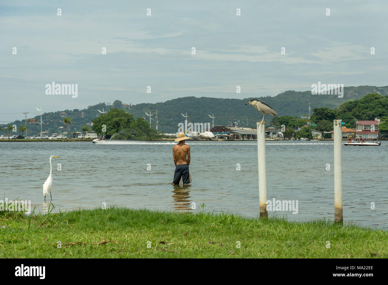 Florianopolis, Brazil. Februry, 2018. Fisher with small fishing net, a white heron and a nyctiorax on a lake (Lagoa da Conceicao). Stock Photo