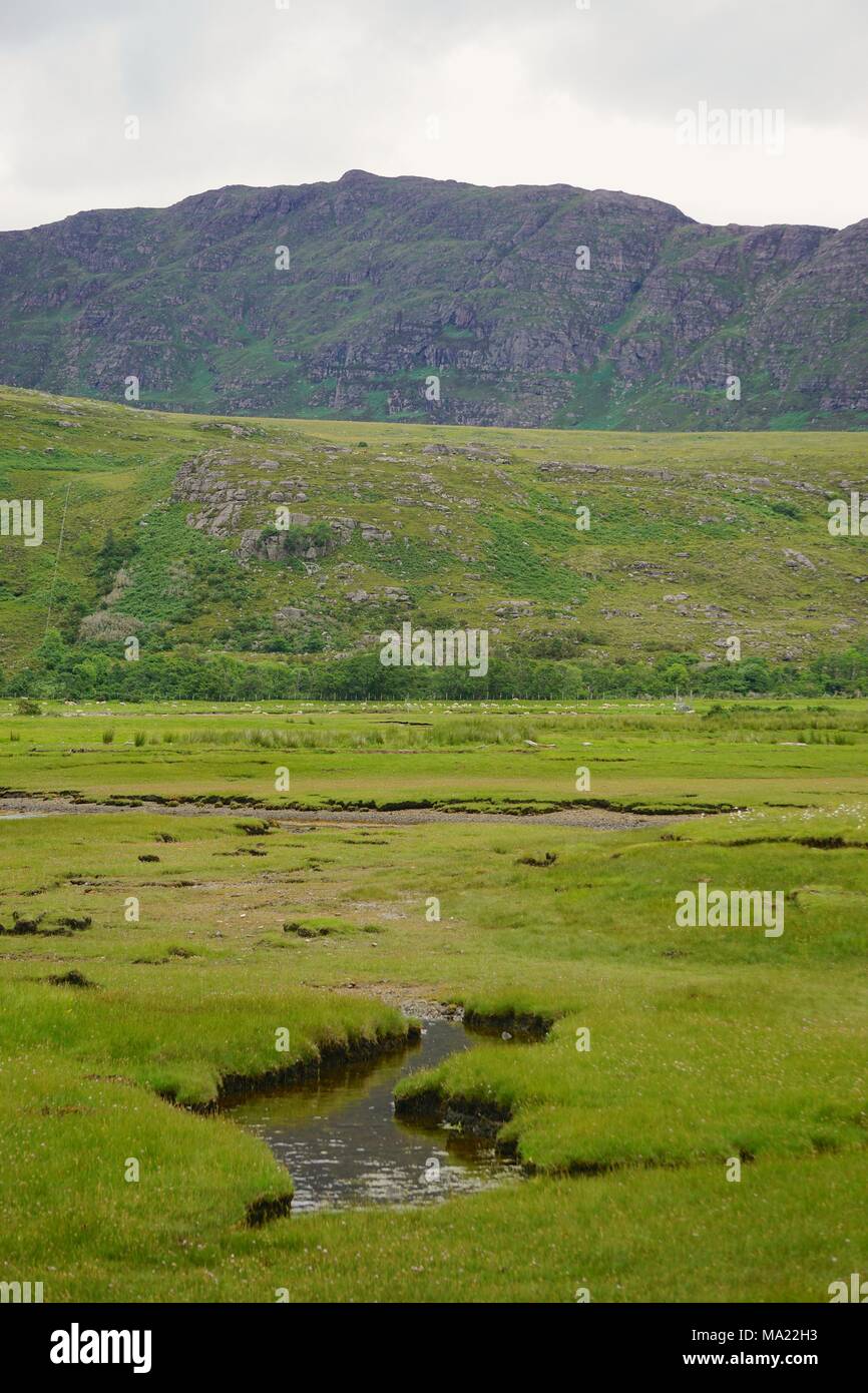 The bog at Dundonnell, Scotland, with mountains in the background, near  Little Loch Broom in the Scottish Highlands Stock Photo - Alamy