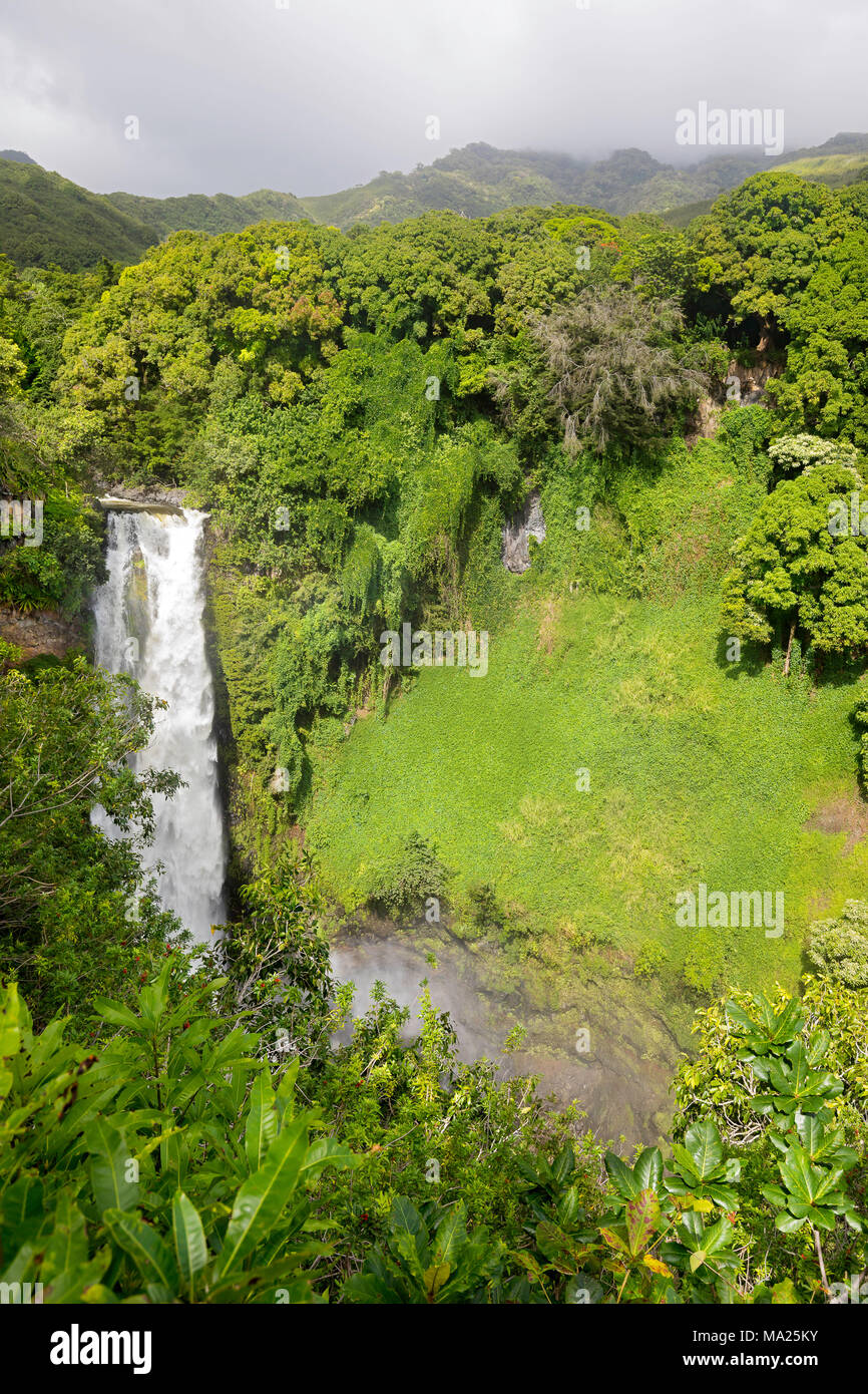 Makahiku Falls is a 200-foot horsetail waterfall and one of the more impressive waterfalls along the Pipiwai Trail in Ohe'o Gulch, Haleakala National Stock Photo