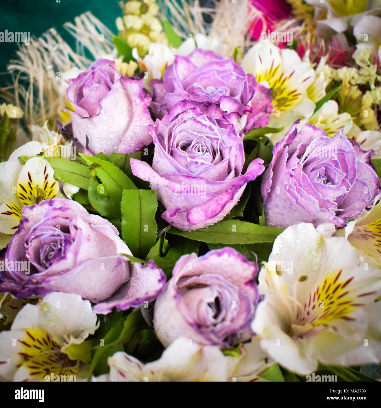 Purple flowers bouquet Stock Photo Alamy