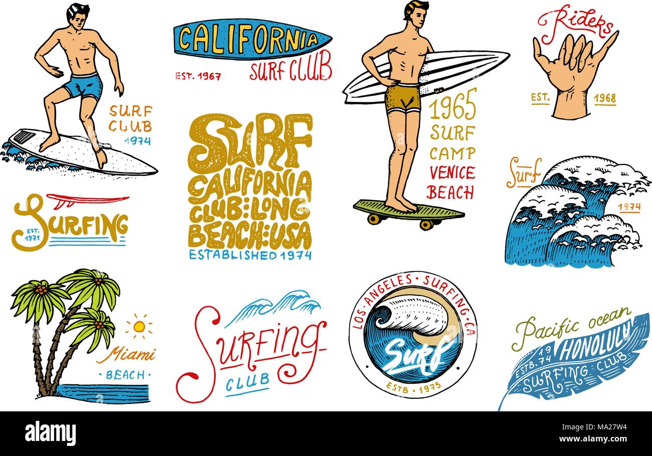 Surf badge and wave, palm tree and ocean. tropics and california. man ...