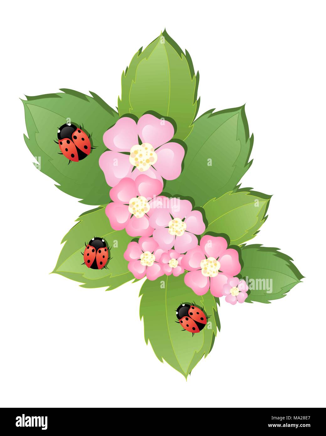 an illustration of colorful ladybugs on green leaves and a posy of ...