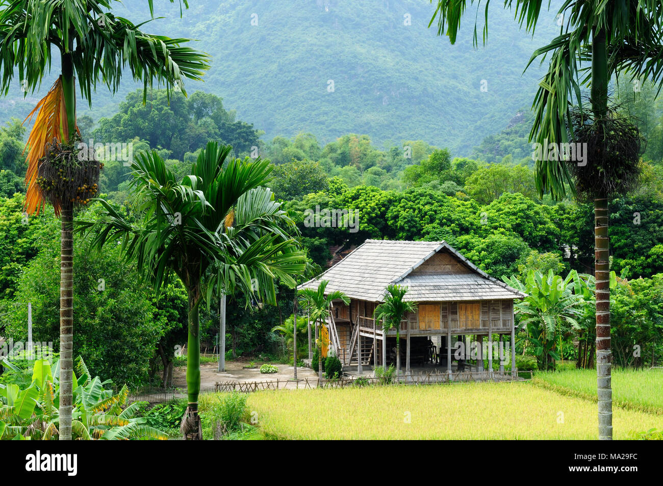 Wooden house on stilts in Asia in the Vietnamese village Stock Photo