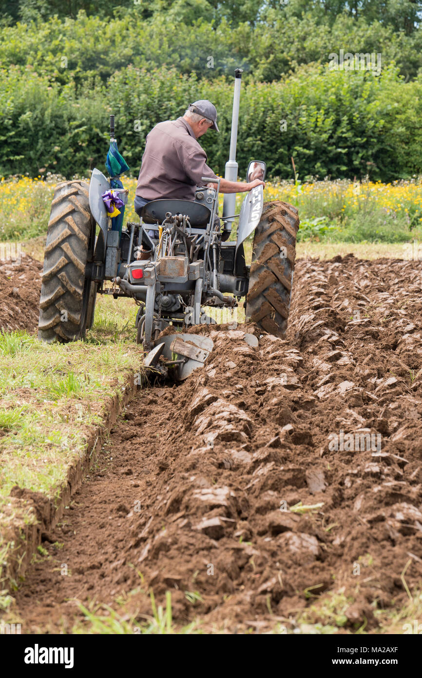 Camrose Vintage Working Day Ploughing Match Camrose Haverfordwest