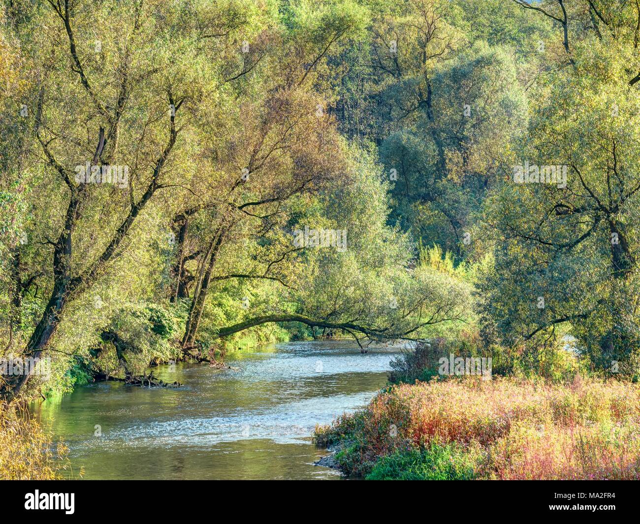 Rhine Ruh Ruhr flows into the rhine hi-res stock photography and images - Alamy