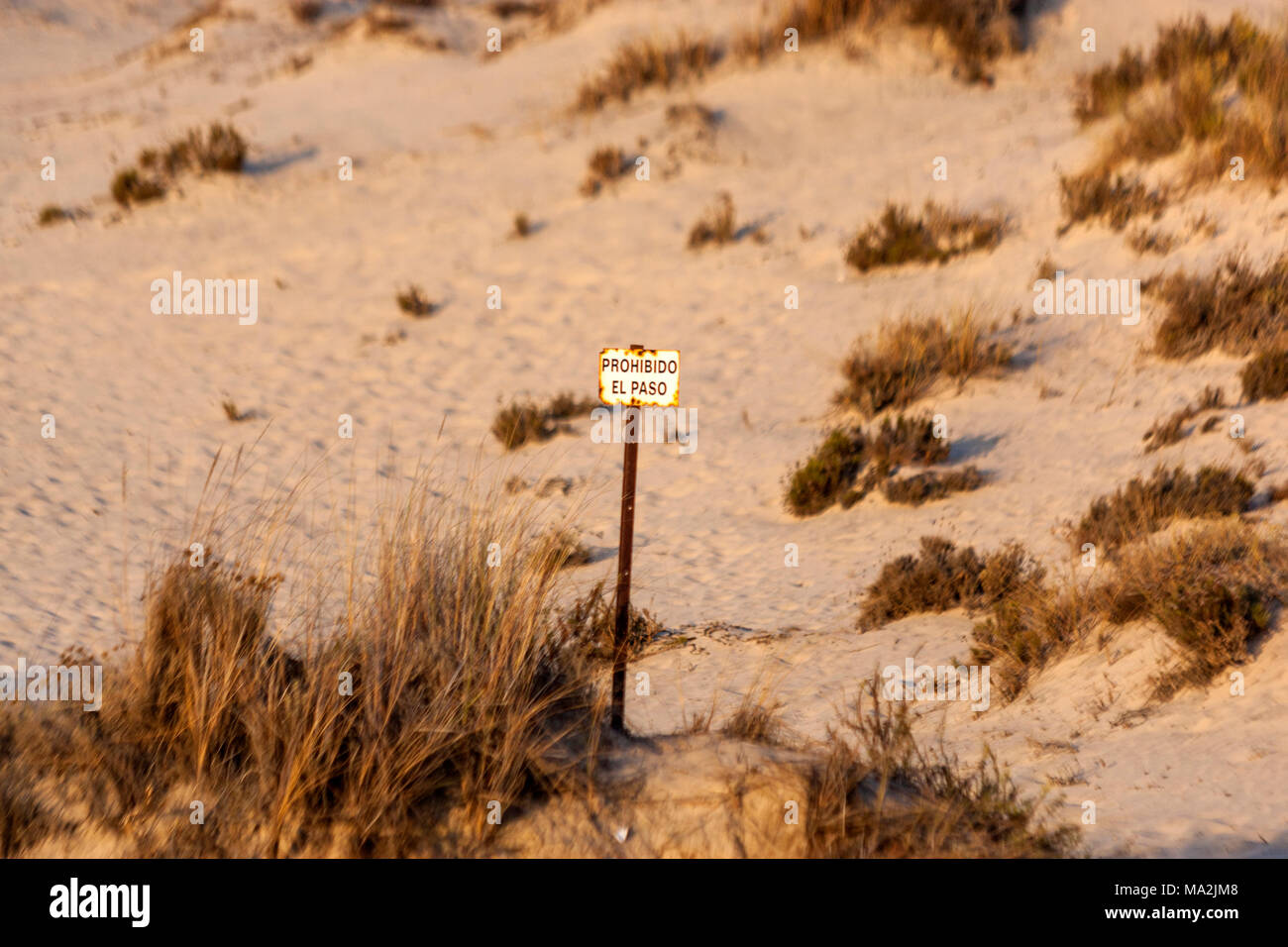 Prohibido el paso sign, sign in Dunes in Doñana National Park beach, Matalascañas, Almonte, Huelva Province, Andalusia, Spain. Stock Photo