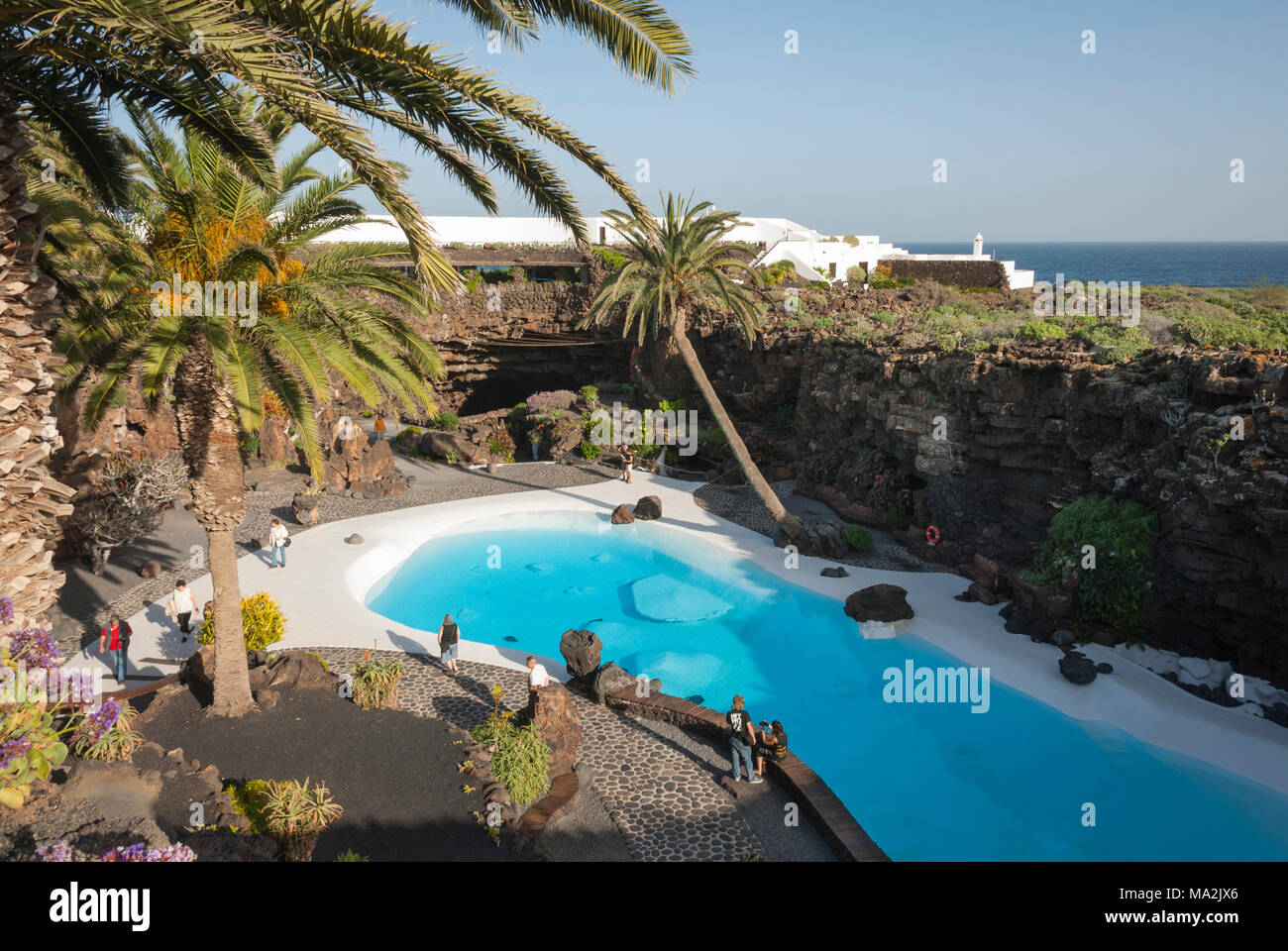 'jameos del agua', garden with swimming pool designed by  Cesar Manrique at Lanzarote Stock Photo