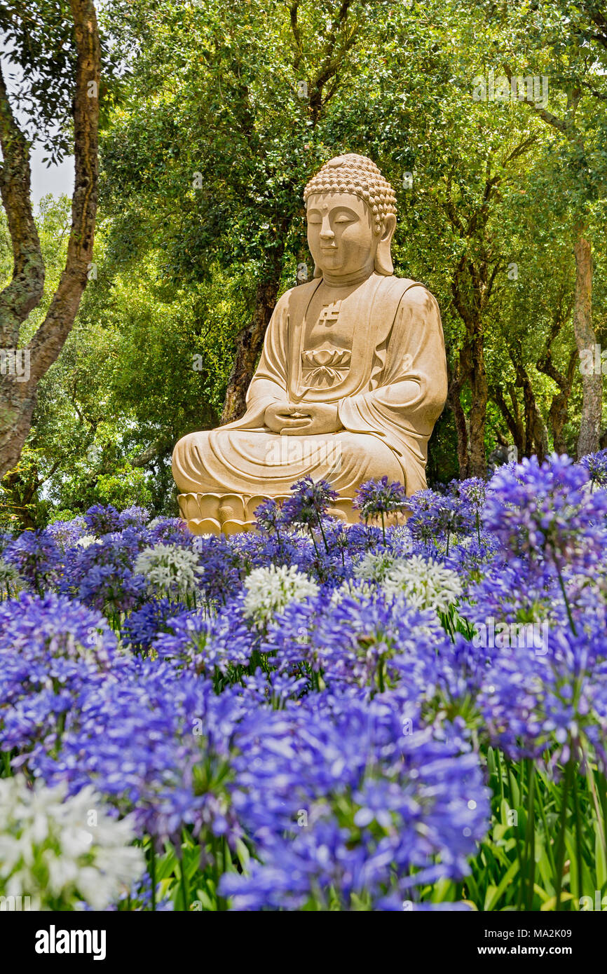 One of the many statues of Buddha in the Buddha Eden Garden, consisting of 35 hectares (86 acres) of natural fields, lakes, manicured gardens an hour  Stock Photo