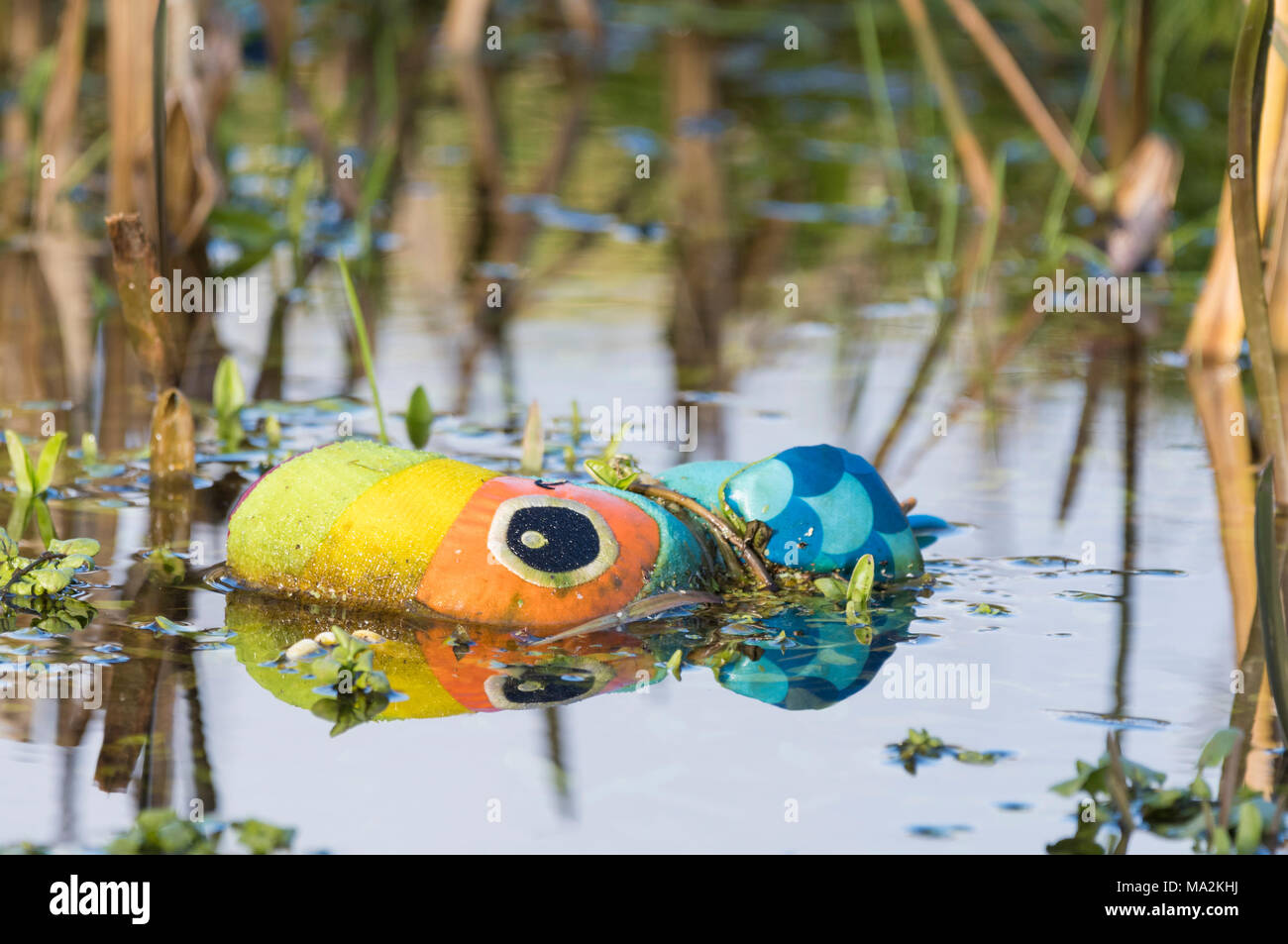 Child's lost stuffed toy abandoned and left behind in water. Stock Photo