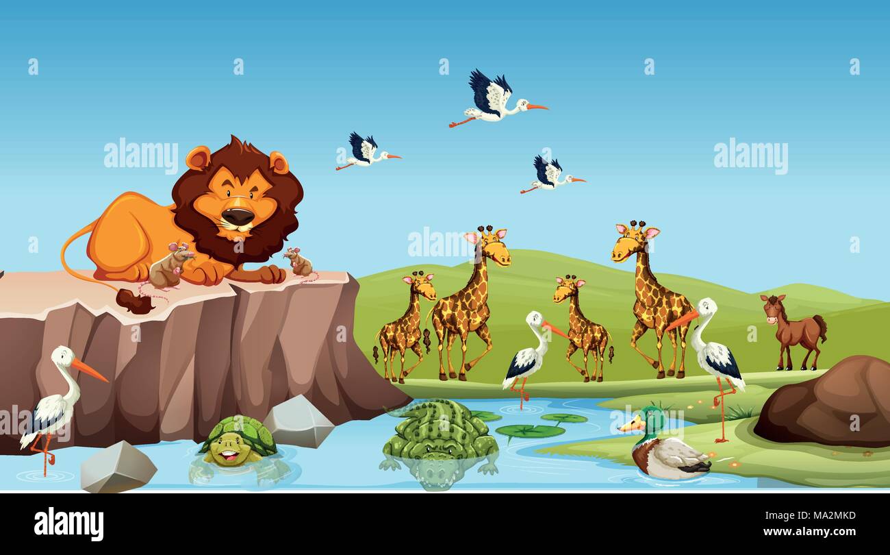 Wild animals living by the pond illustration Stock Vector Image & Art -  Alamy