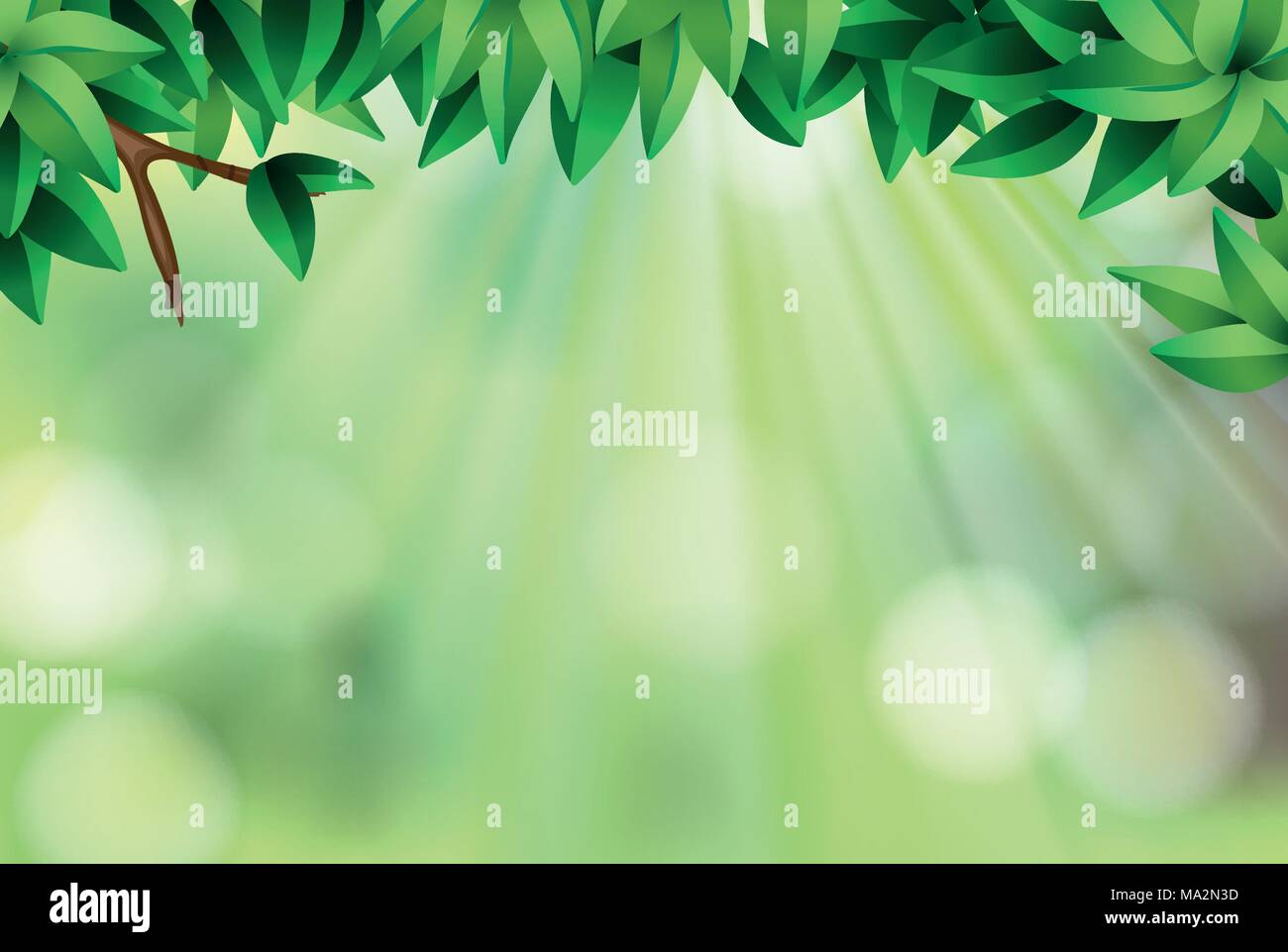 Background template with leaves and green light illustration Stock ...