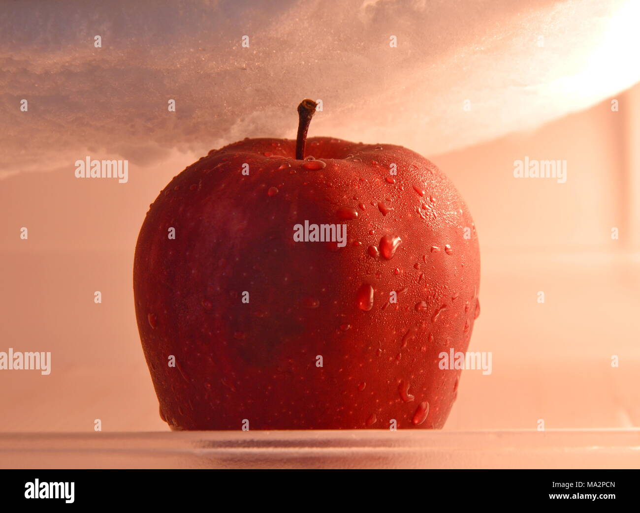apple in refrigerator Stock Photo Alamy