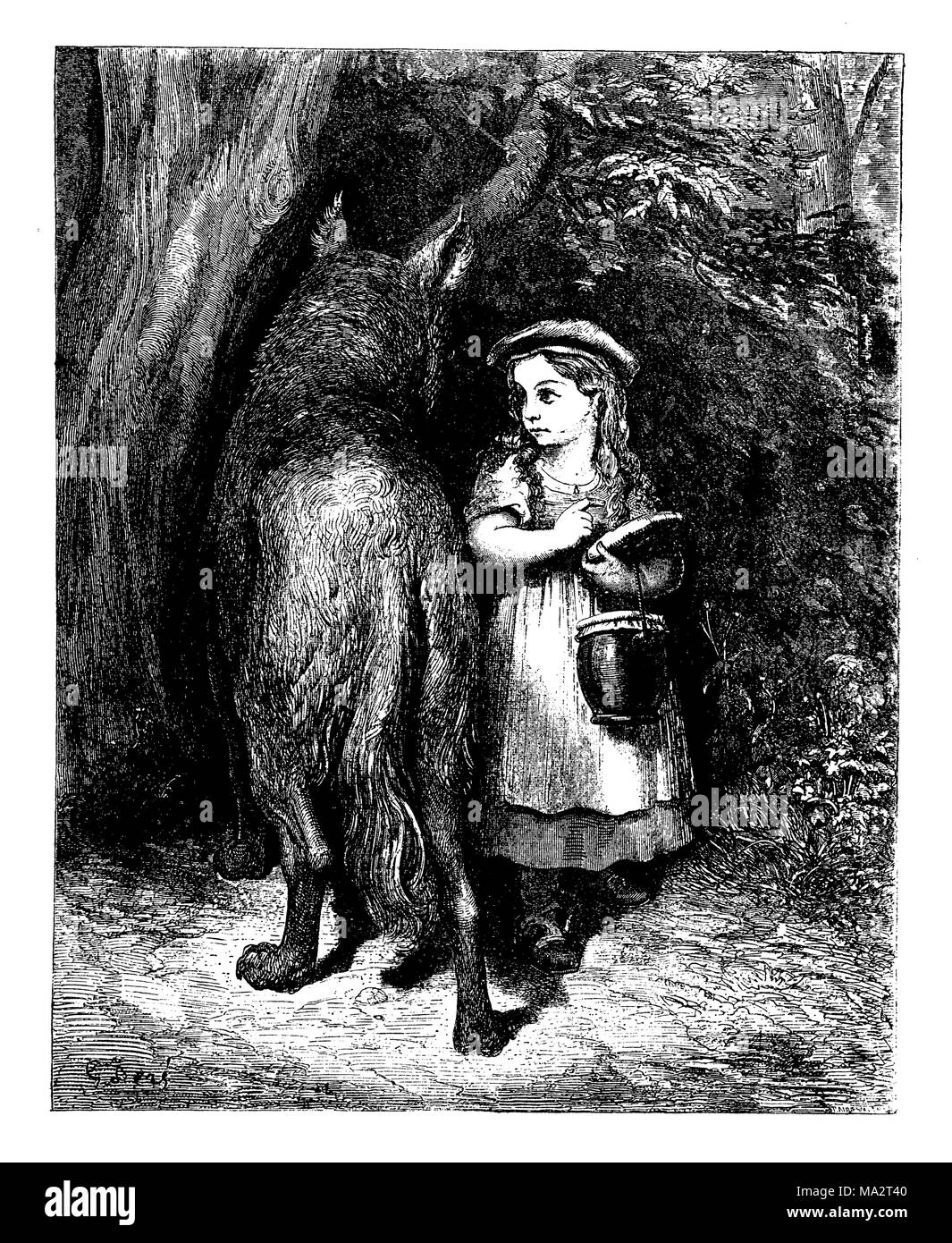 Little Red Riding Hood meets the wolf in the forest Stock Photo