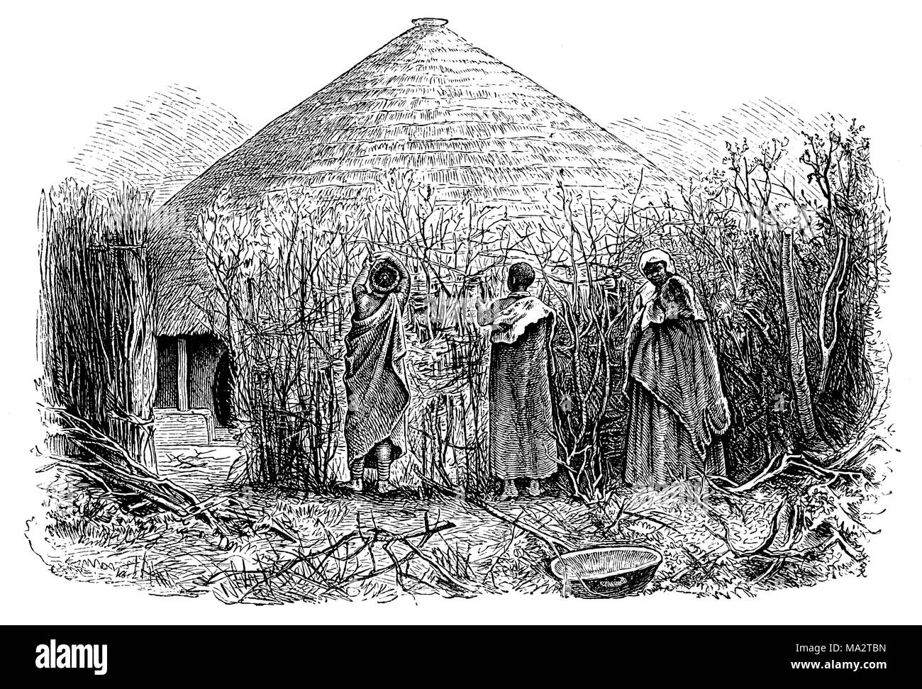 Betchuana women weaving a fence Stock Photo