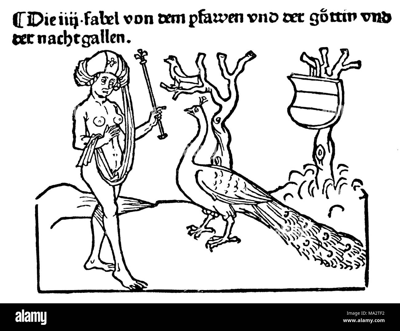 The peacock complains to the goddess Juno. Illustration of fable. Woodcut from the 15th century Stock Photo