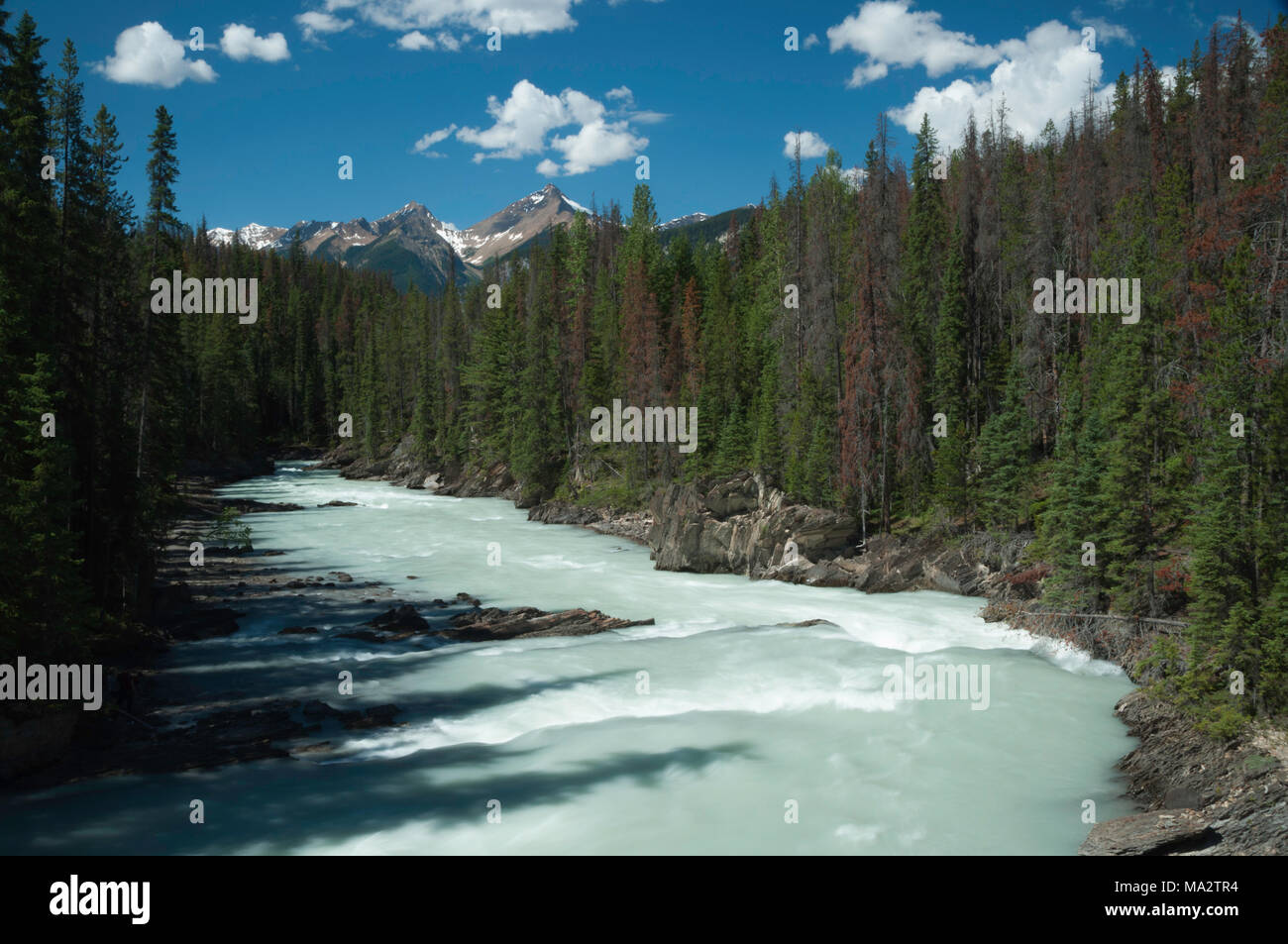 Natural bridge and kicking horse river hires stock photography and images Alamy