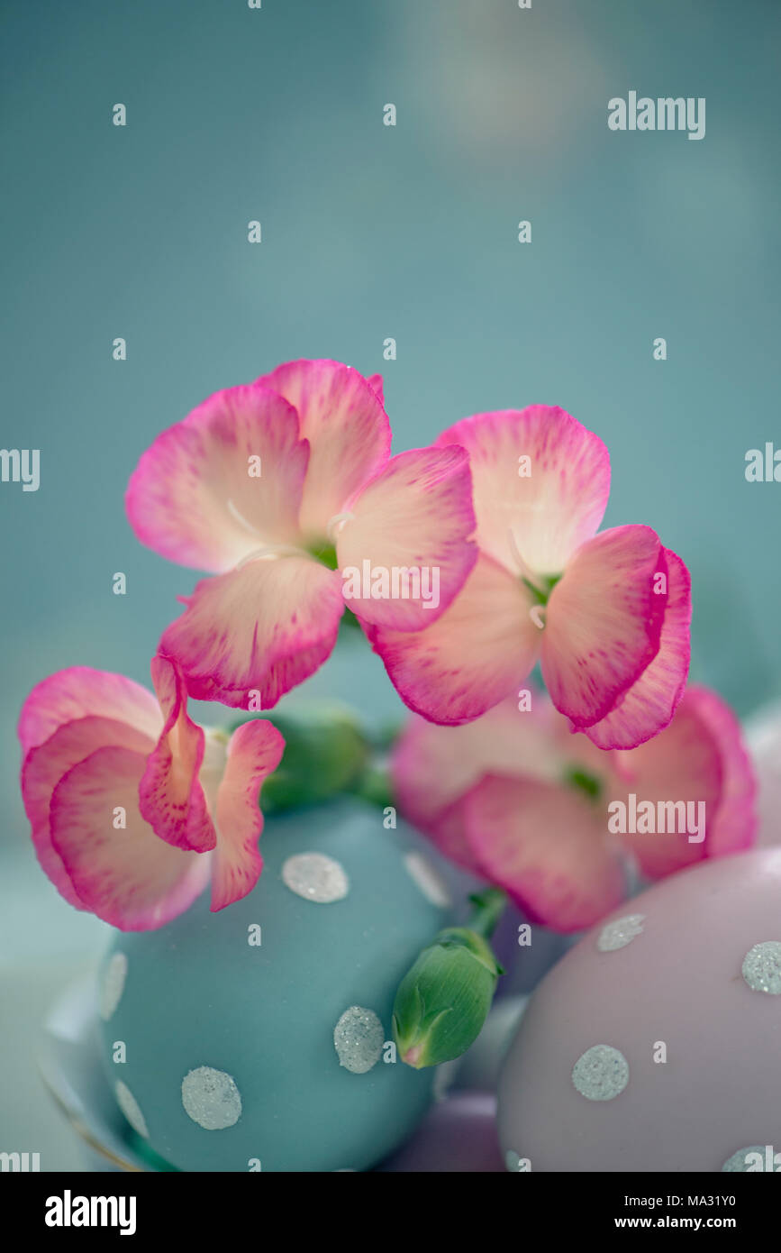 Pink flowers on colored eggs Stock Photo
