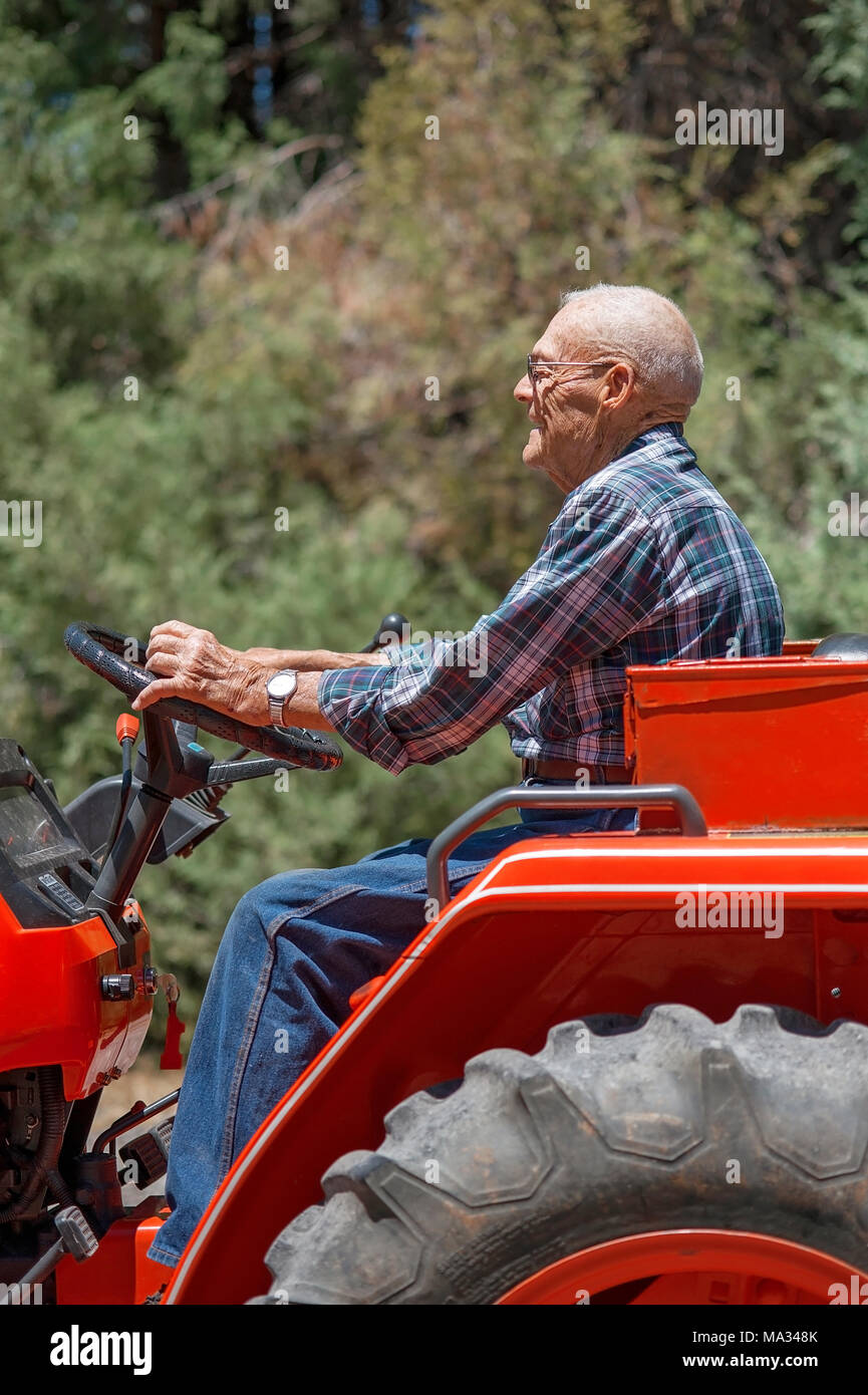 A candid portrait of a senior man operating a tractor. Stock Photo
