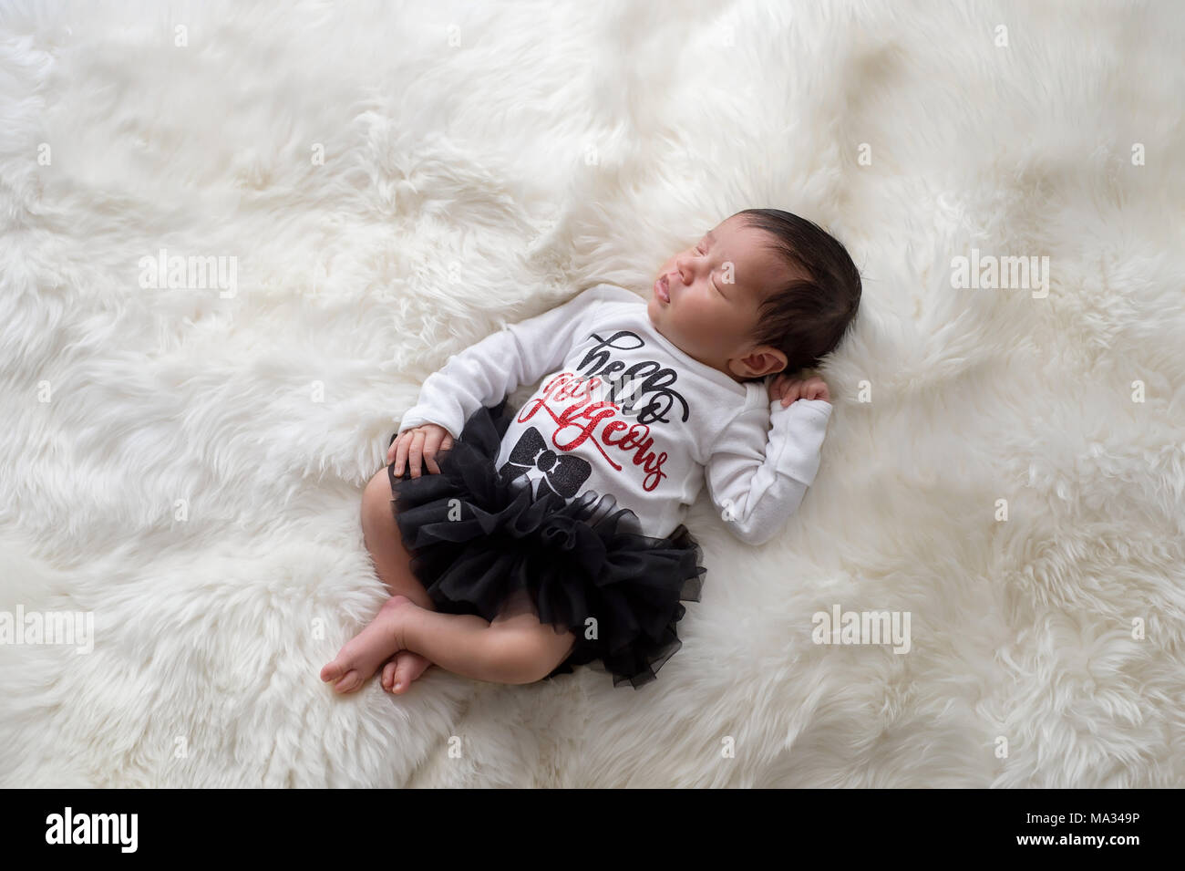 Portrait of a 12 day old newborn baby girl wearing frilly, black, tutu bloomers and a white onesie that say, 'Hello Gorgeous'. Shot in the studio on a Stock Photo