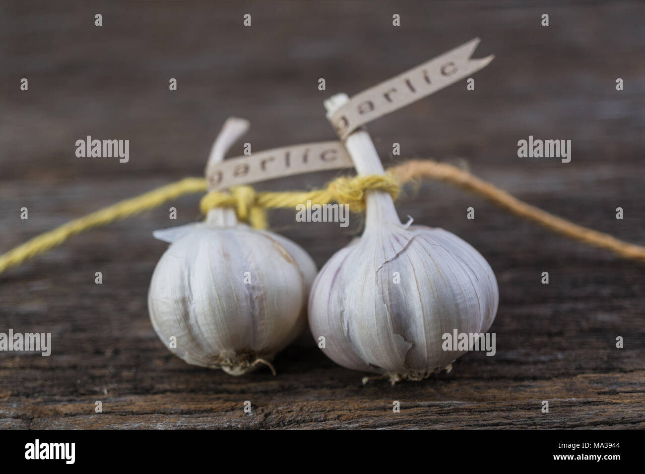 Decorated garlic bulb on vintage wood background Stock Photo