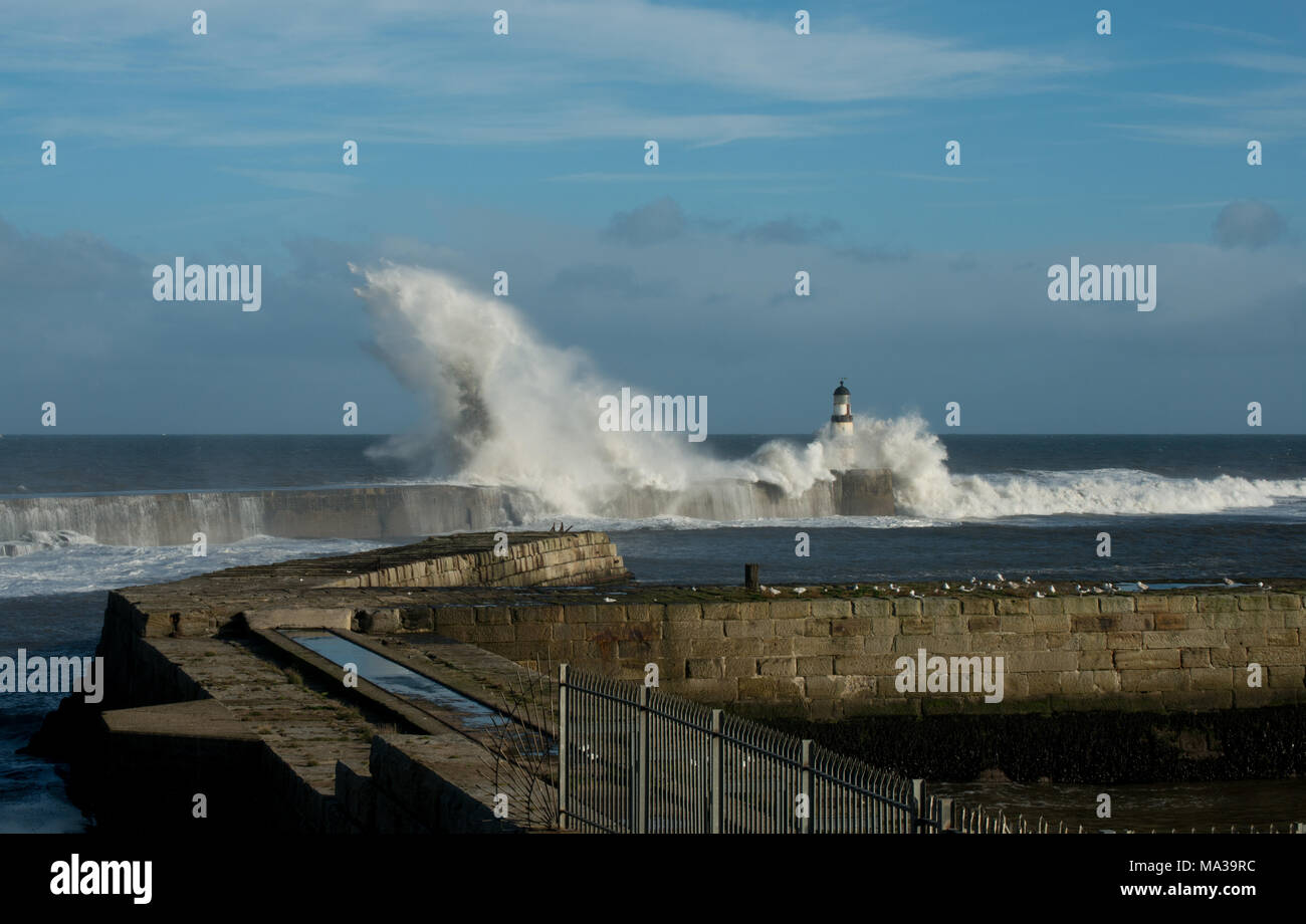 Waves crashing and soaring over Seaham pier and lighthouse on the North East coast of England Stock Photo