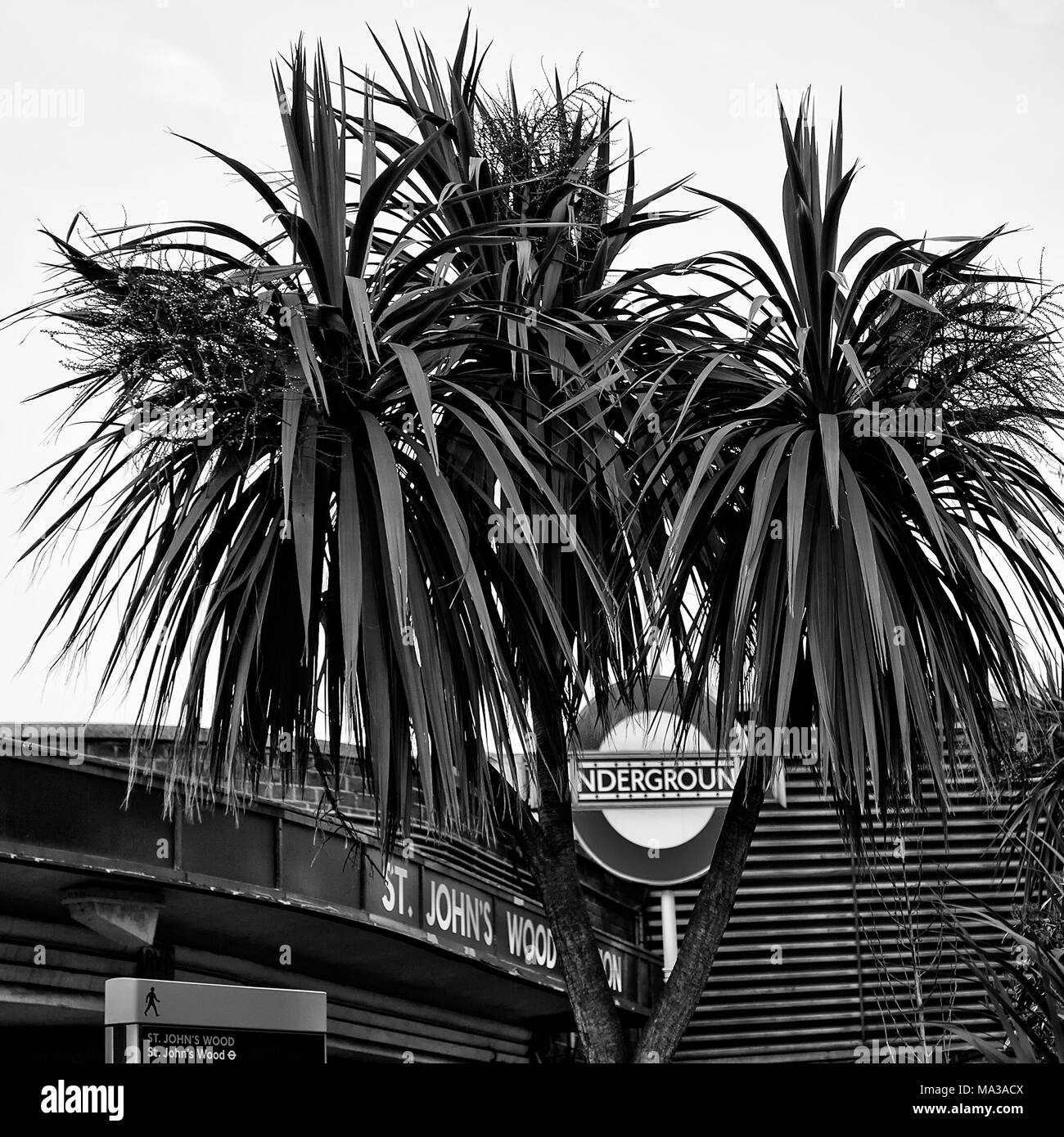 London Underground Tube Station: St John's Wood Stock Photo