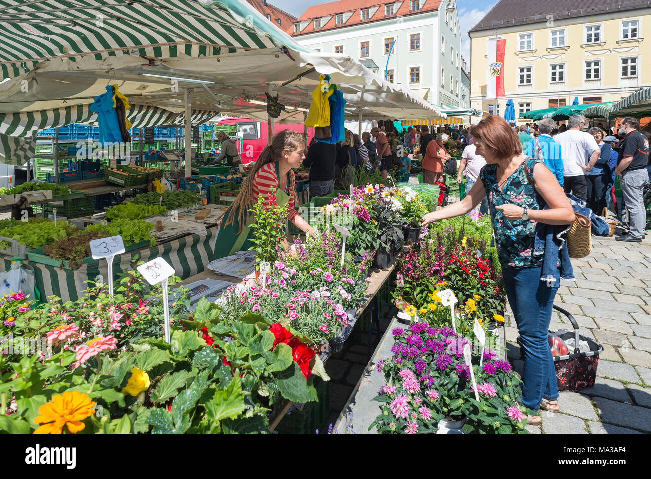 Woman and saleswoman at market stall with flowers and vegetables on the market square in the old town of Freising, Bavaria, Germany Stock Photo